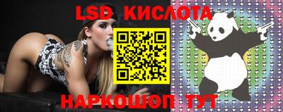 круглые Новокубанск