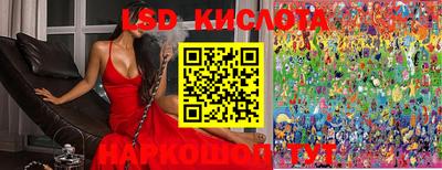 apvp Новозыбков