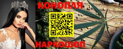 синтетический гашиш Новодвинск