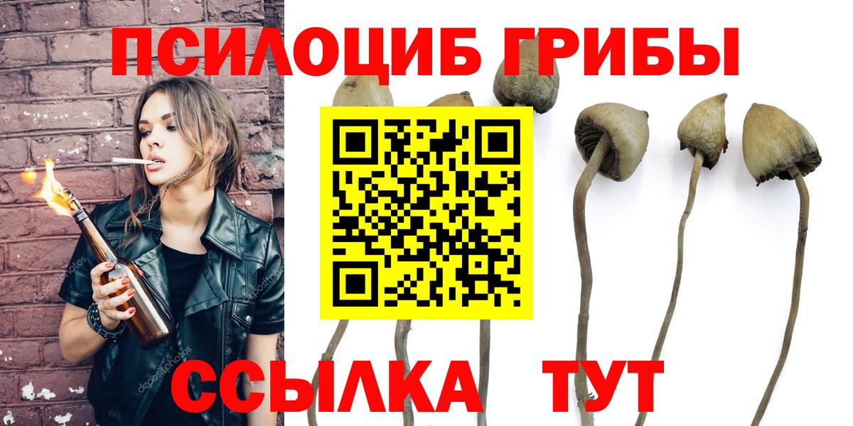 дарнет шоп  Псилоцибиновые грибы Magic Shrooms  Псилоцибиновые грибы GOLDEN TEACHER  Вход с VPN  Сокол 